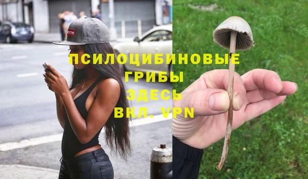 героин Алзамай