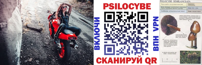 Галлюциногенные грибы прущие грибы  блэк спрут   Юрьев-Польский 